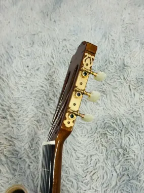 Guitar yamaha C250