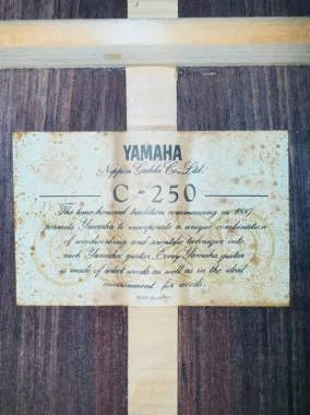 Guitar yamaha C250