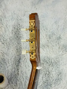 Guitar yamaha C250