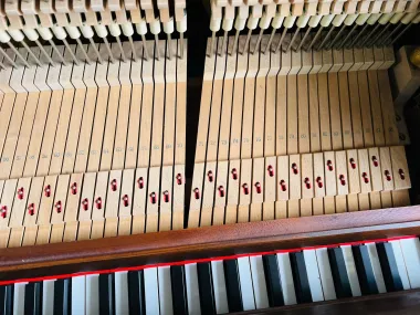 Yamaha W102