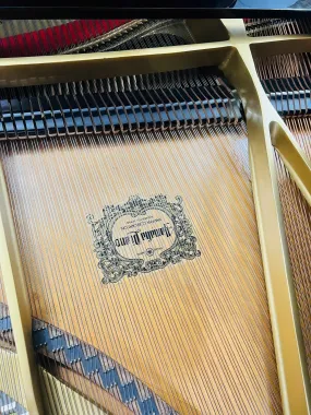 Yamaha C7B