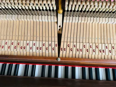 Yamaha W102